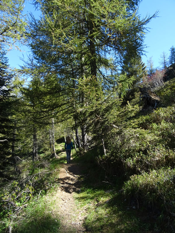 Catena dei Lagorai...da Pergine al Passo del Manghen